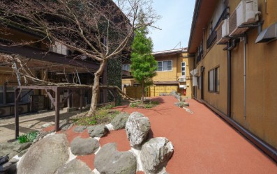 中庭の岩ゾーン